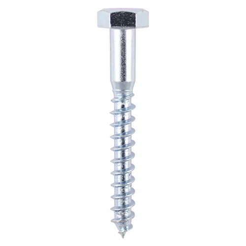 Coach Screw 8 x 50mm (Bag 5) - Image 1