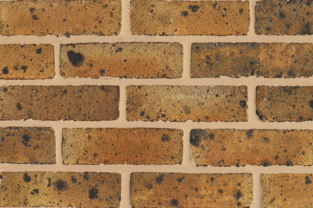 FLB Danehill Yellow | 400/pack | - Image 1
