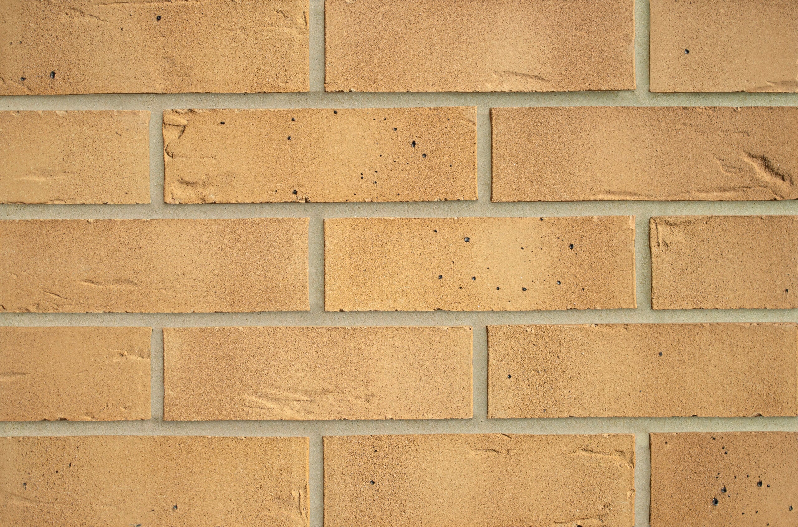 Forterra Burwell Buff | 495/pack | - Image 1