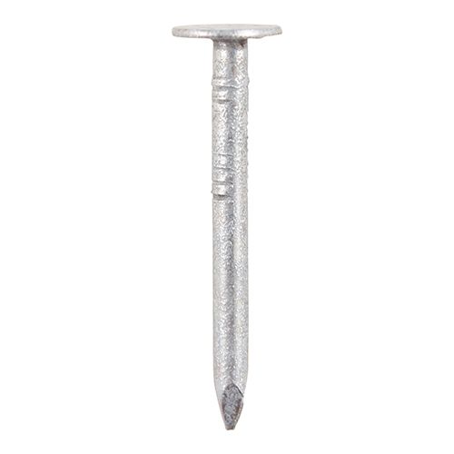 Galv Clout Nails 40 x 2.65mm 1kg - Image 1