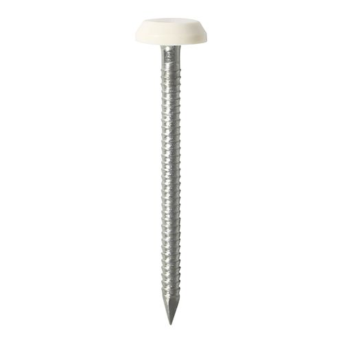 Polymer Headed Nail - White 40mm Box 100 PN40W - Image 1
