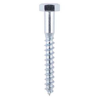 Coach Screw 10  x 50mm (Bag 4)