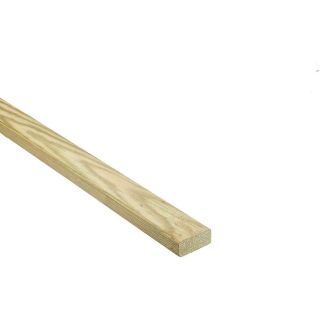 25 X 50MM Green treated Batten