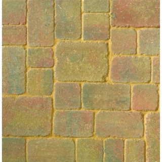 Bretts Alpha Autumn Gold - Trio |60mm| |8.94m²| |406pk|