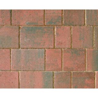 Bretts Beta  Brindle - Small |60mm| |9.88m²| |672pk|