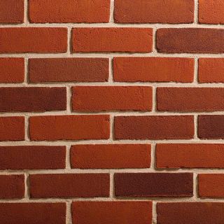 TBS Bure Valley Blend | 600/Pack |